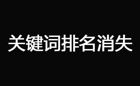 網(wǎng)站被K之后快速恢復(fù)技巧 經(jīng)驗(yàn)心得 第9張